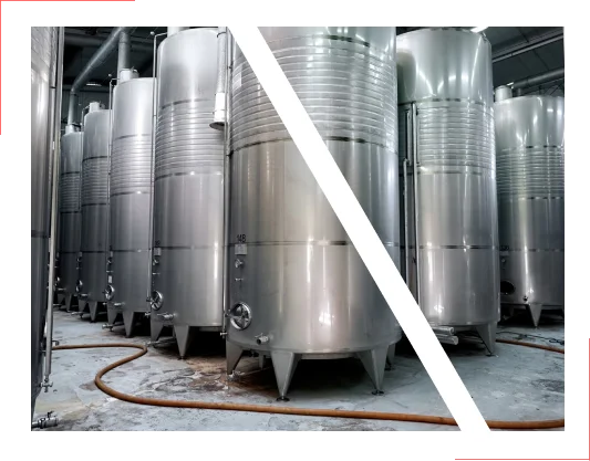 winery-fermenters